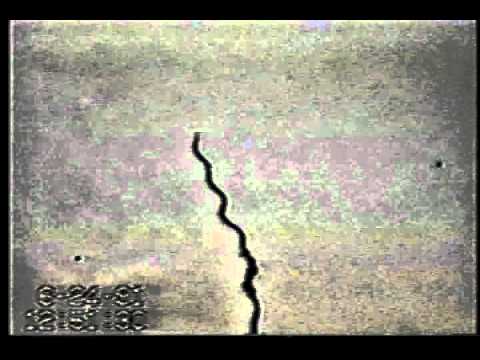 The Unique Paradigm of Spirochete Motility and Chemotaxis: Supplemental Video 1