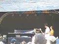 Telefon Tel Aviv