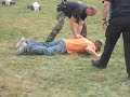 Mark Hughes gets tazed