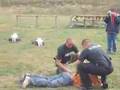 Mark Hughes gets tazed