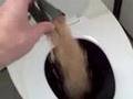 Gersh tries the Green Latrine