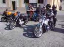 harley roadshow