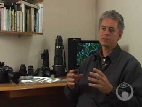 See video