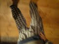 Cooking Chicken Wings Drunk, With Arm in Sling