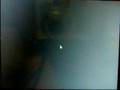 Zaurus DOSBOX: Tomb Raider