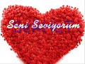 deli a??k serhat deli a??k serhat