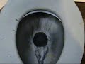 Acorn Toilet Take 3