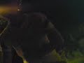 le canzoni di romoli