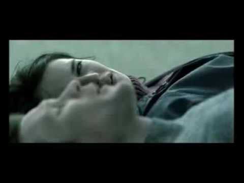 Womb trailer