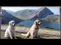 En los lagos y Covadonga En los lagos y Covadonga