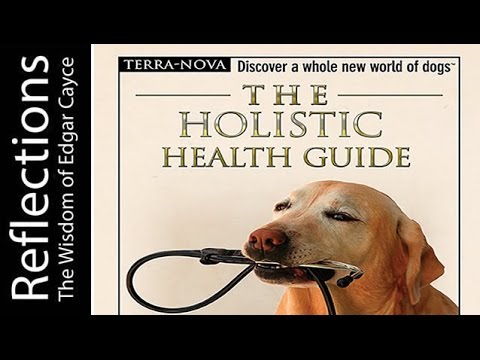 how to provide holistic care to patients