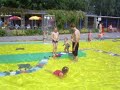 damian den heijer damian den heijer