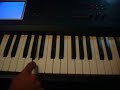 Acordeon-teclado el tucanazo