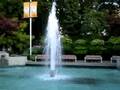 Water By The Richmond Public Library