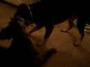 Izzie and Sali Izzie and Sali