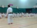 videos de sensei noguaki kanazawa