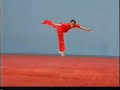martial arts tecnicas de wushu...