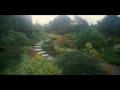 Ashram - Il Mostro