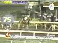 Nov-6-2007-Races-SLL