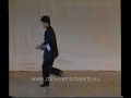 XINGYI - 5 ELEMENTS LINKED FORM