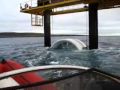 OpenHydro tidal turbine