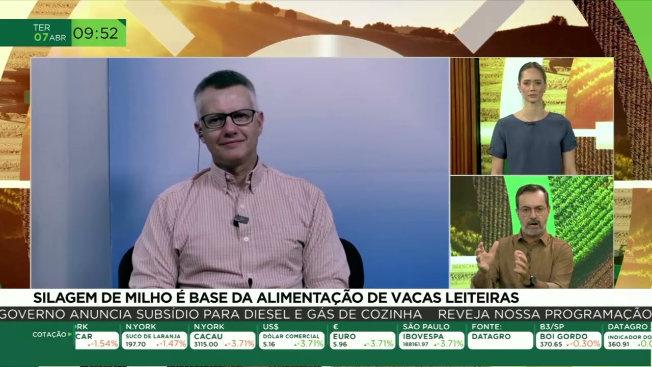 Do plantio ao armazenamento: os segredos da boa silagem