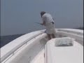 Gulfstream Georgia Fishing Webisode Gulfstream Georgia Fishing Webisode