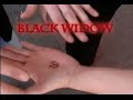 Black Widow (With DVD) by Darryl Vanamburg - DEMO #1