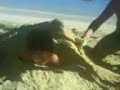 roi en playuela