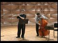 Venezuelan Lullaby - Serenata Ingenua - Flute Music