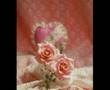 ahmet tuncer urfal� sevmi�