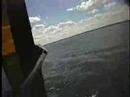 videos windsurf