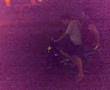 tompel in action