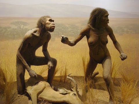 People Evolved From Apes