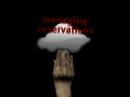 Watch our ads YouTube Preview Image