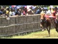 Bull Race Sampang Madura_1.m4v