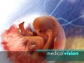 Schwangerschaft / Pregnancy Schwangerschaft / Pregnancy