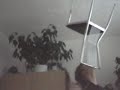 chair on genion