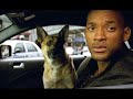 I am legend (sigla di D. House)