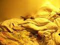 The Reason my Bed is a mess!