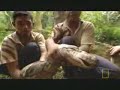 www.safarivideos.net anaconda attack man
