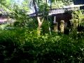 Sunset Cove Hotel - Koh Phangan