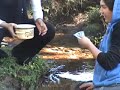 Coastie Tea