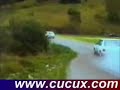 comic race