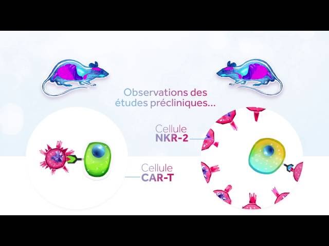 La thérapie CYAD-01 de Celyad