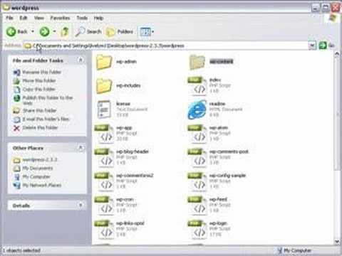 how to export wordpress database