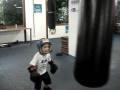 cawan lutando boxe