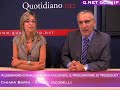 Alessandra Canale fulmina Caliendo, procuratore di Trezeguet