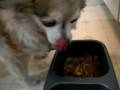 Tiny LOVES Spaghetti!!! ^_^ Tiny LOVES Spaghetti!!! ^_^