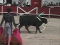 La Face cachée des corridas. allianceanticorrida.fr La Face cachée des corridas. allianceanticorrida.fr